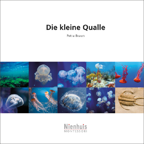 Die kleine Qualle, Kosmisches Leseheft, ab 6 Jahre