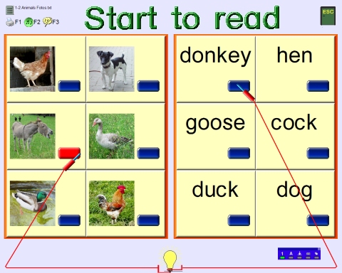 English for Us (Schullizenz)