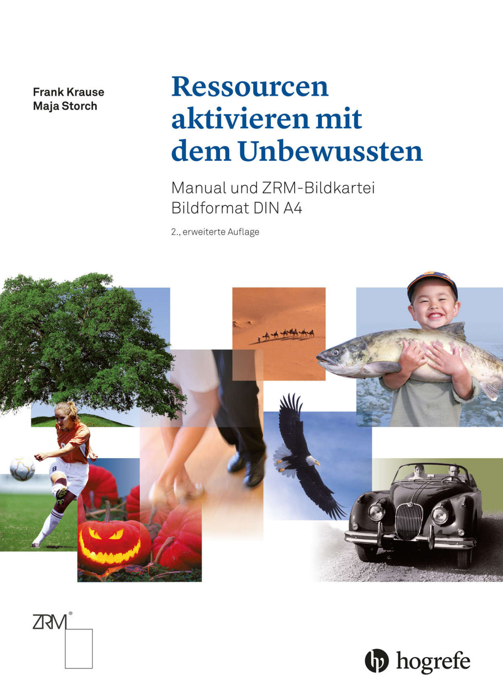 Ressourcen aktivieren mit dem Unbewussten, Manual und ZRM-Bildkartei Bildformat DIN A4