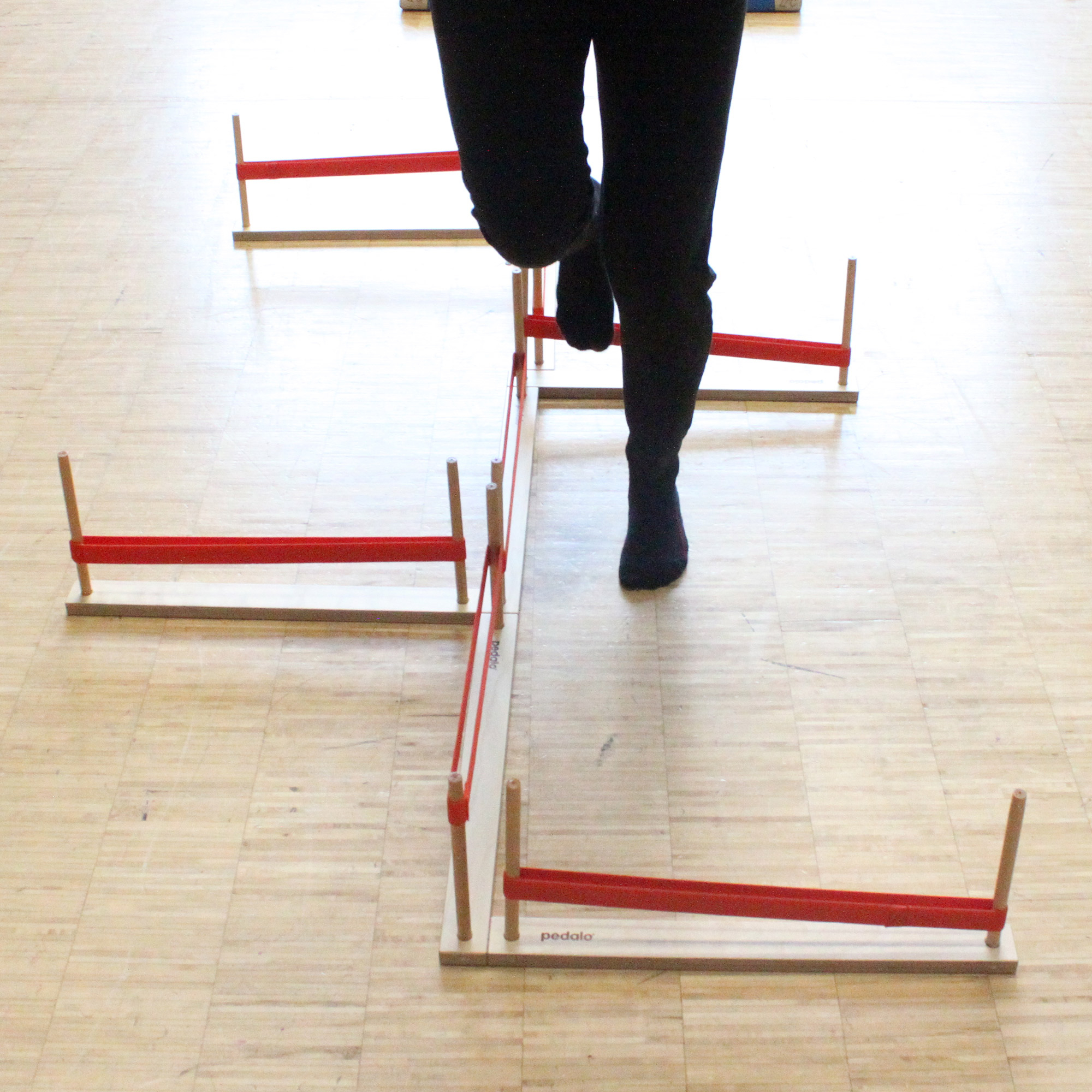 Pedalo® Slow-Move & Speed-Jump-Test, Trainings- und Therapie-Tool