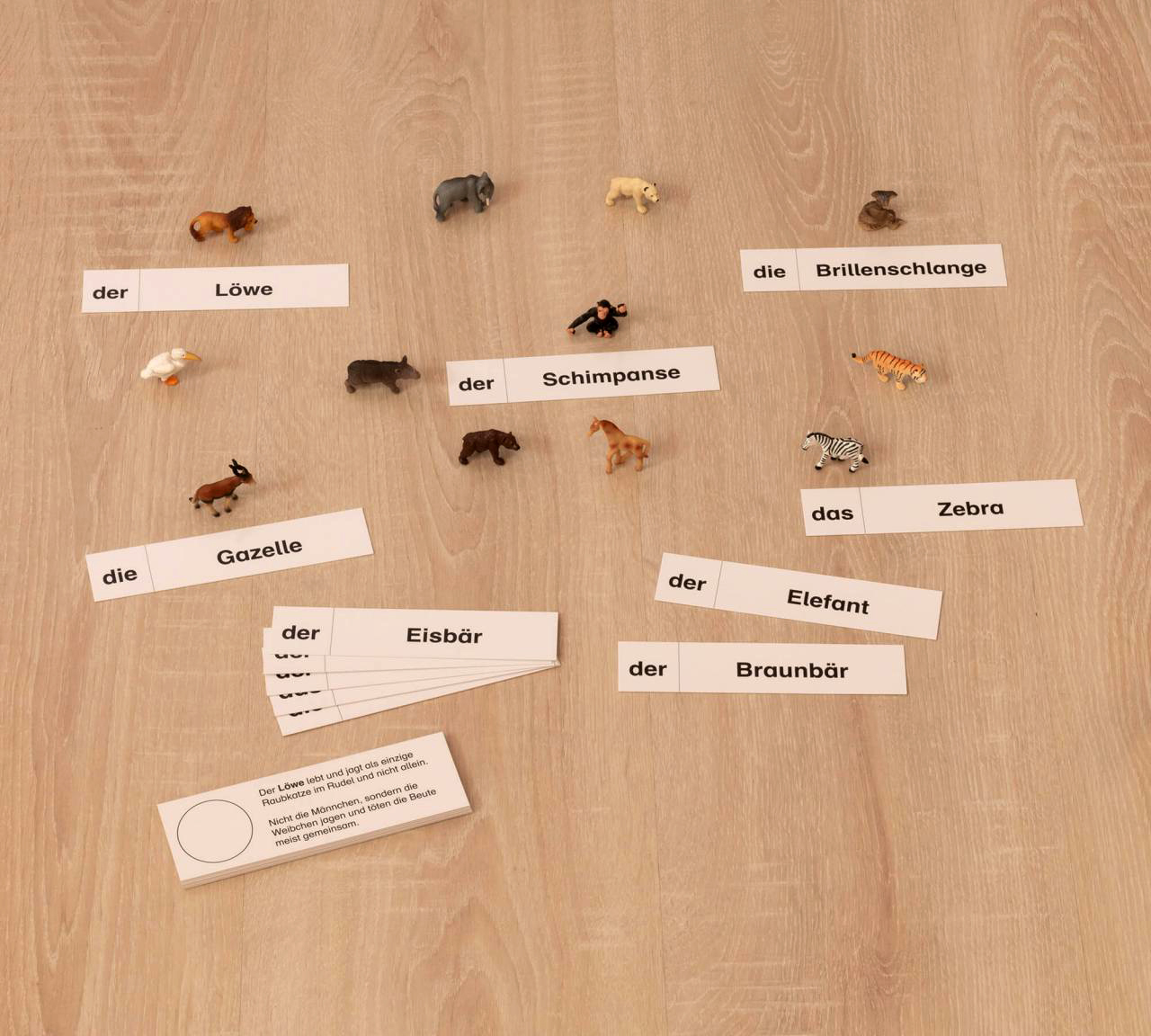 Tiere im Zoo, Lesematerial, ab 1. Klasse