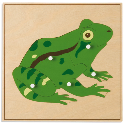 Tierpuzzles: Frosch