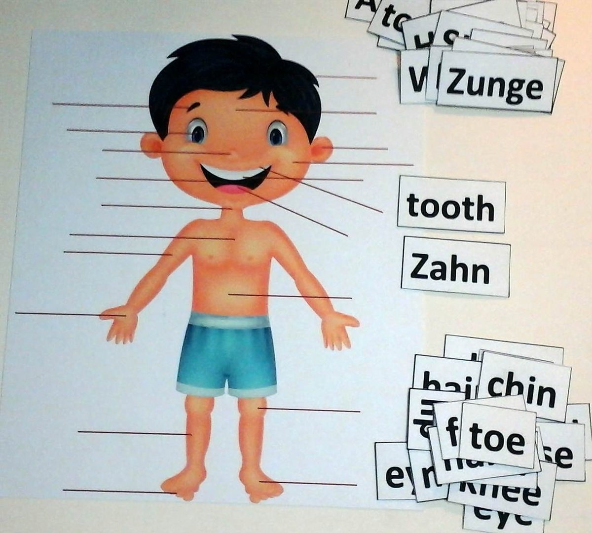 Lernteppich Mein Körper, deutsch/englisch