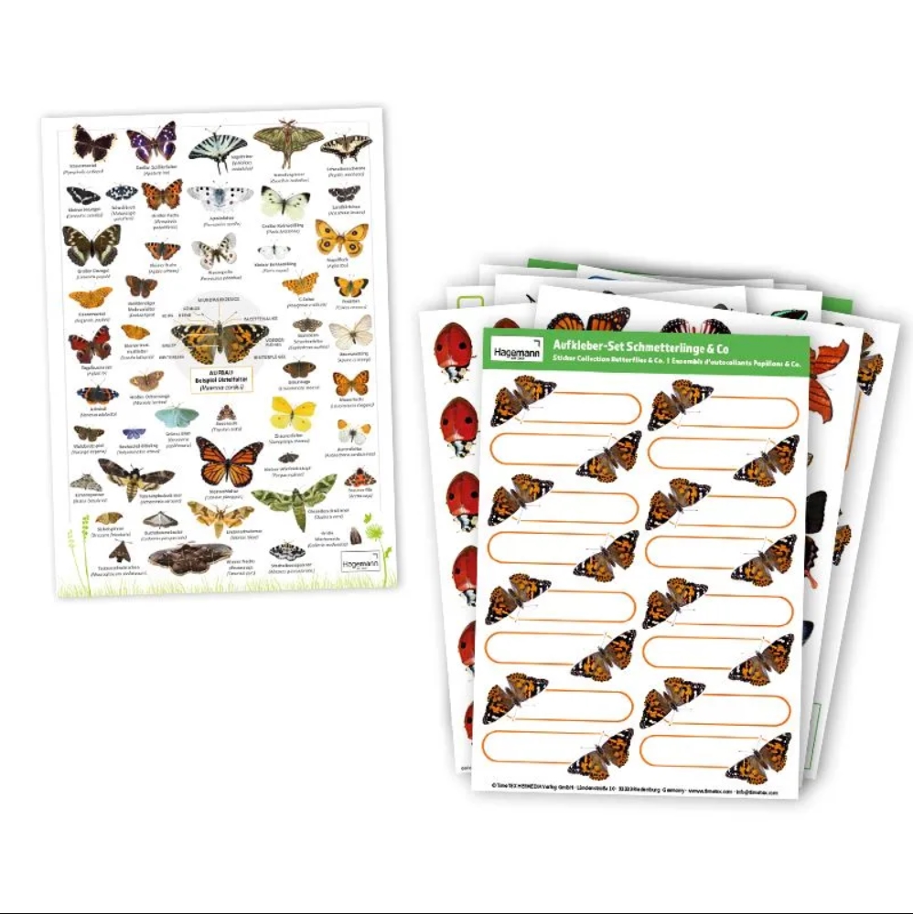 Zuchtset Schmetterlinge, Gutschein-Set, kompakt, 8 Teile