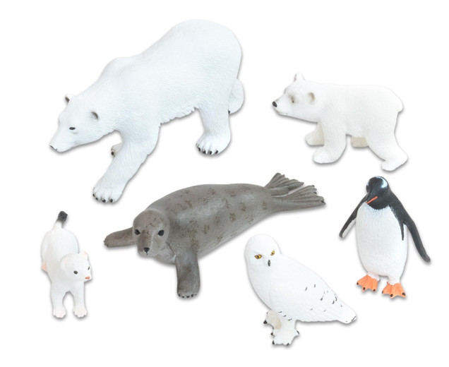 Tiere - Arktische Tiere, 6 Teile