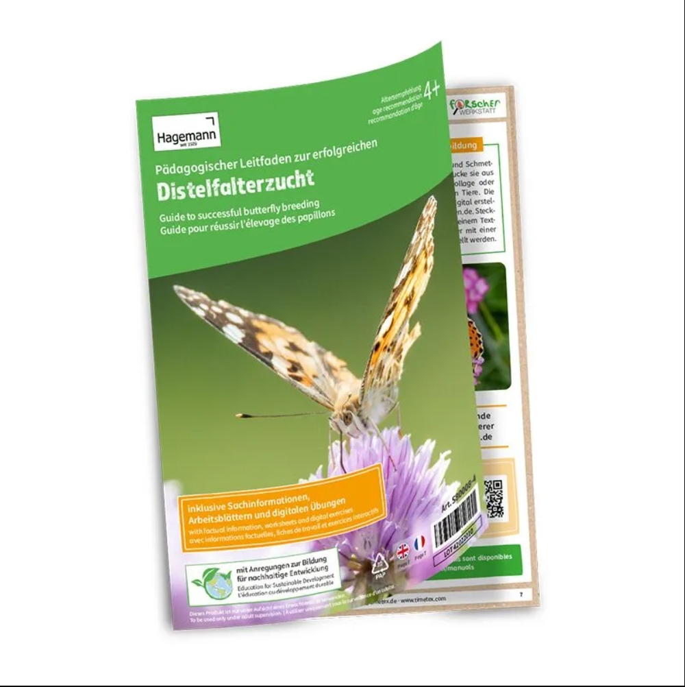 Zuchtset Schmetterlinge, Gutschein-Set, kompakt, 8 Teile