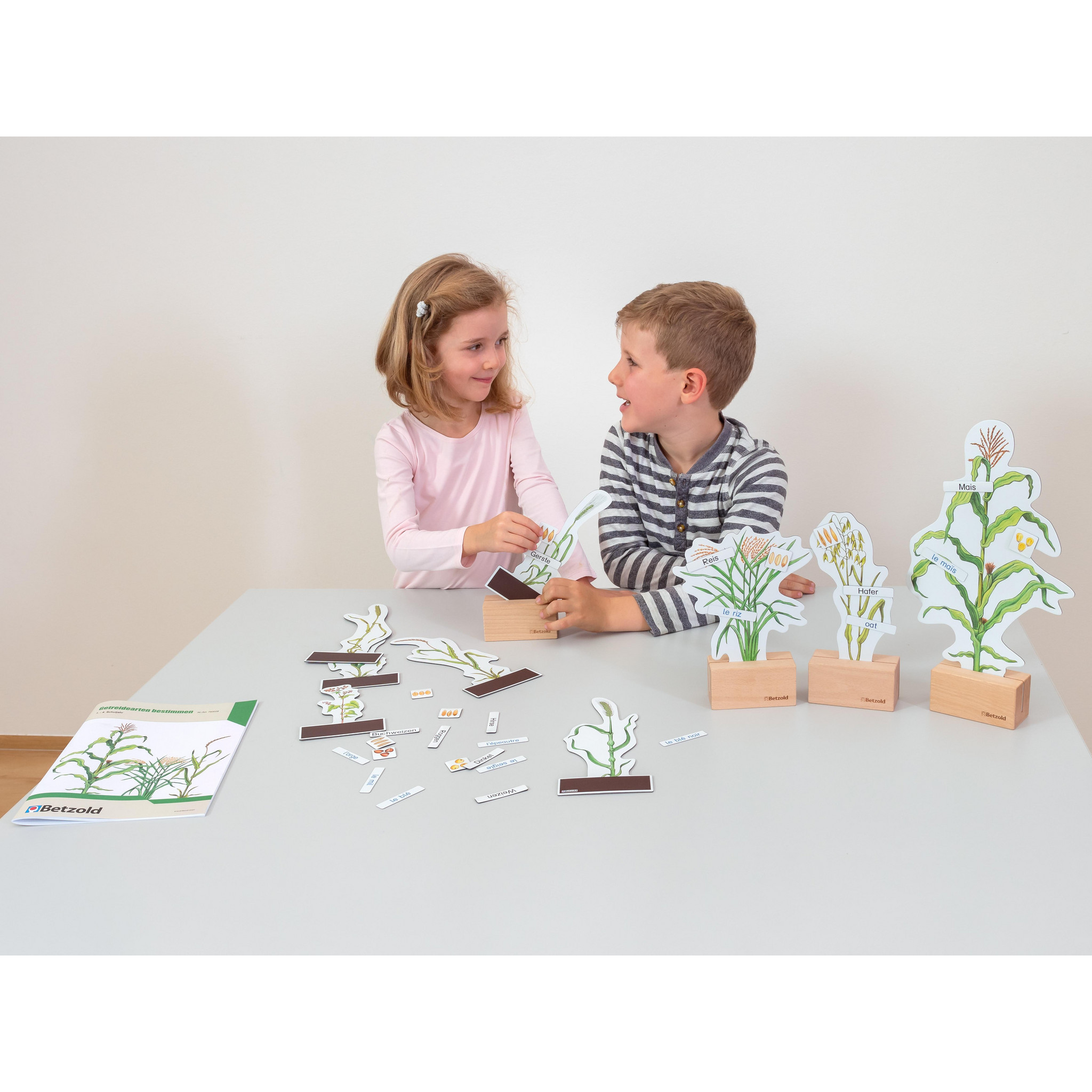 Getreidearten bestimmen leicht gemacht, Lehrmaterial, 6-10 Jahre