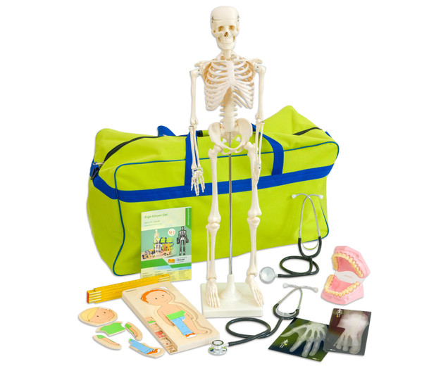 Meine Körpertasche, Materialsammlung mit Skelett, 4-10 Jahre