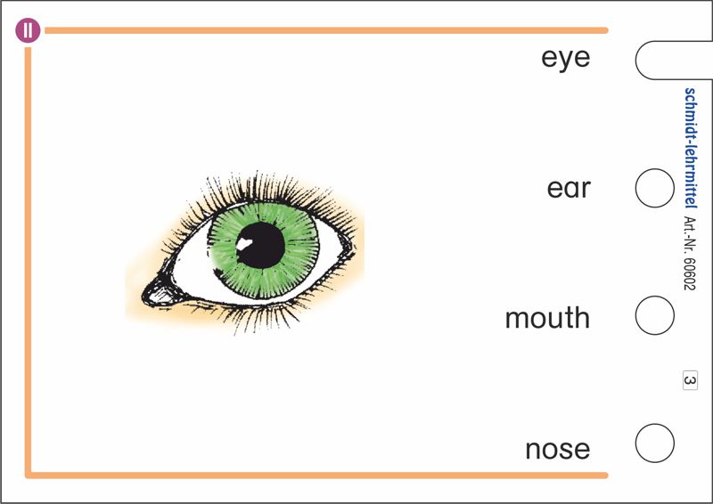 Stöpselkarten 'Vocabulary II' ab 3. Klasse