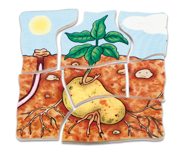 Lagenpuzzle Kartoffel, Holzpuzzle mit 5 Lagen, 4-5 Jahre