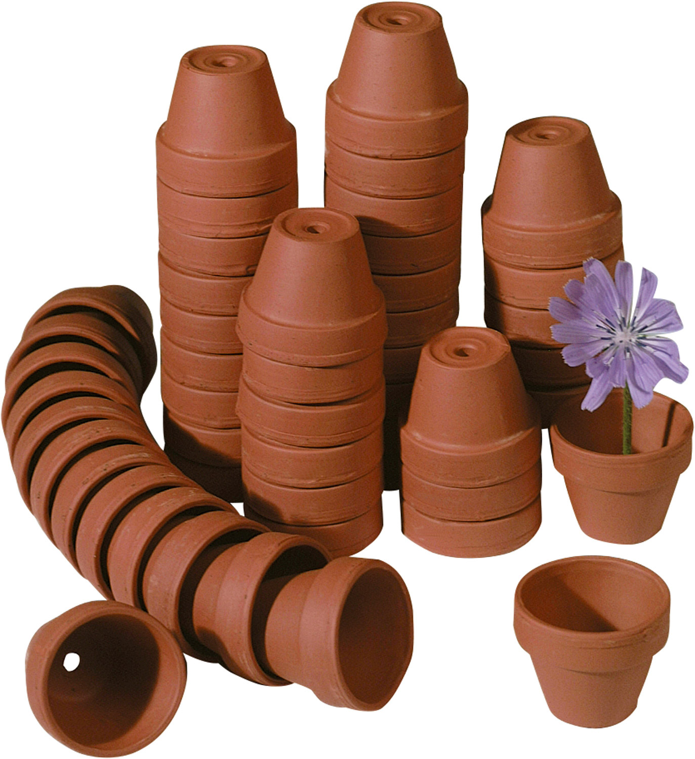 Mini-Tontöpfe 3,5 cm 50 Stück