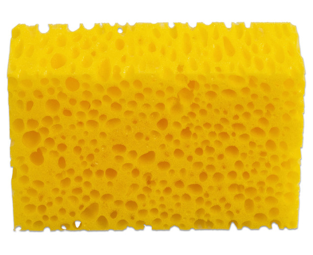 Tafelschwamm, grobporig, gelb, haltbar, 5 Stück