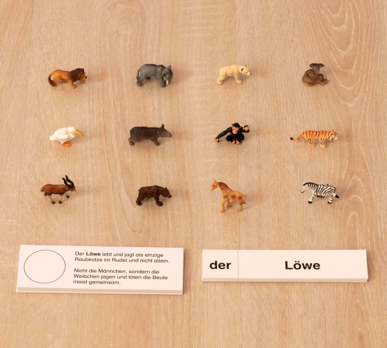Tiere im Zoo, Lesematerial, ab 1. Klasse