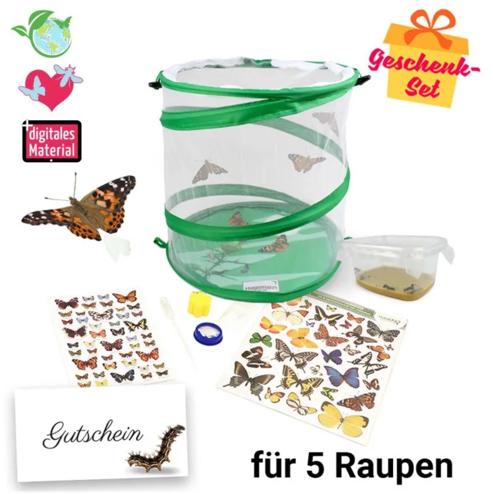 Zuchtset Schmetterlinge, Gutschein-Set, kompakt, 8 Teile