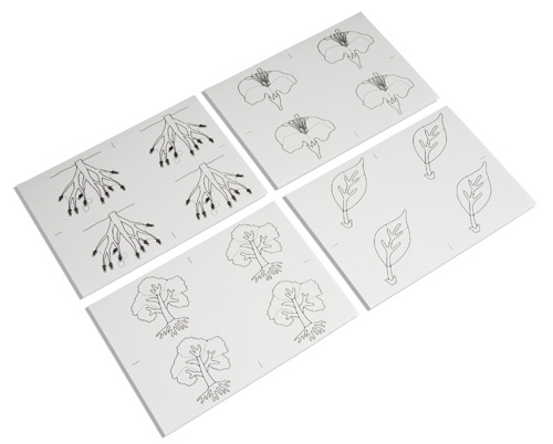 Kopiervorlagen für die Botanischen Puzzles, ab 4 Jahre