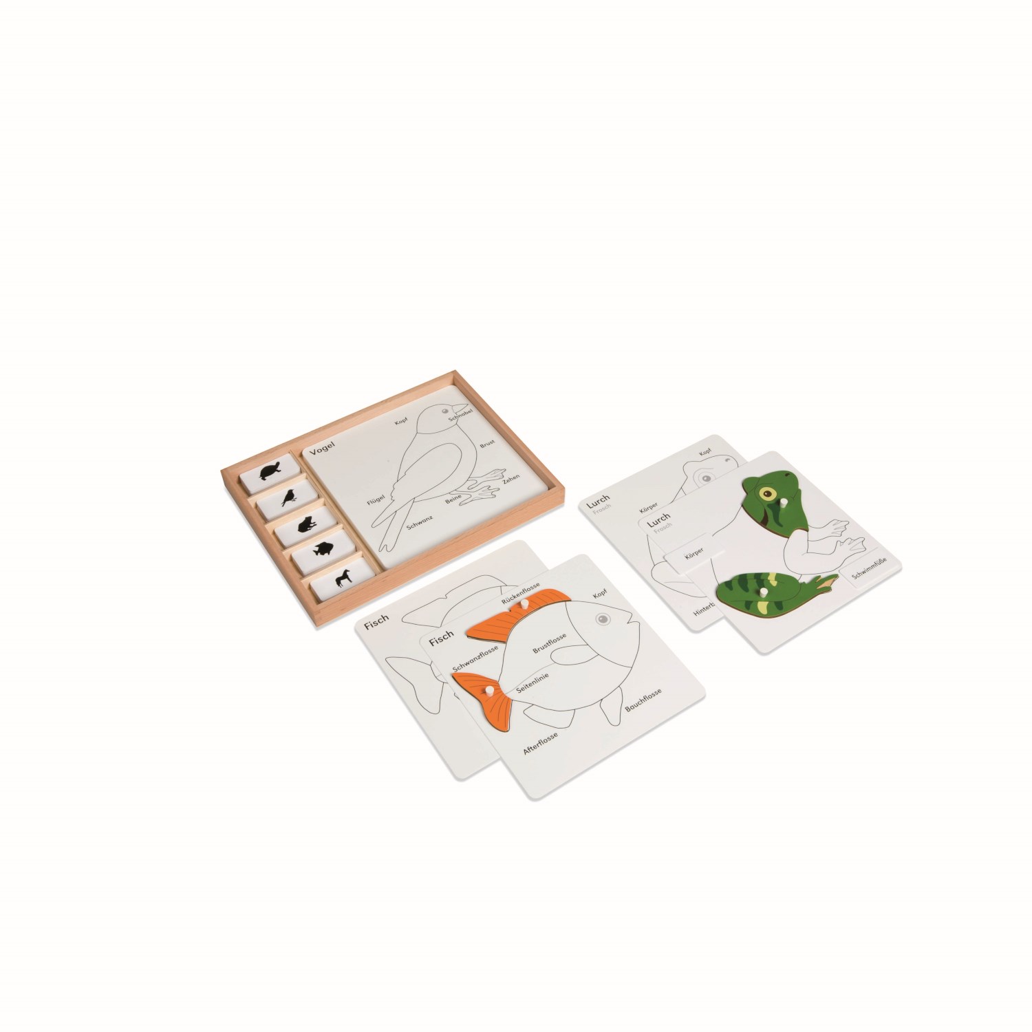Kontrollkarten für die Tierpuzzles