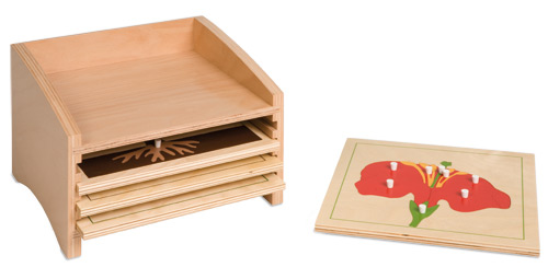 Kasten mit vier Fächern für die Botanischen Puzzles