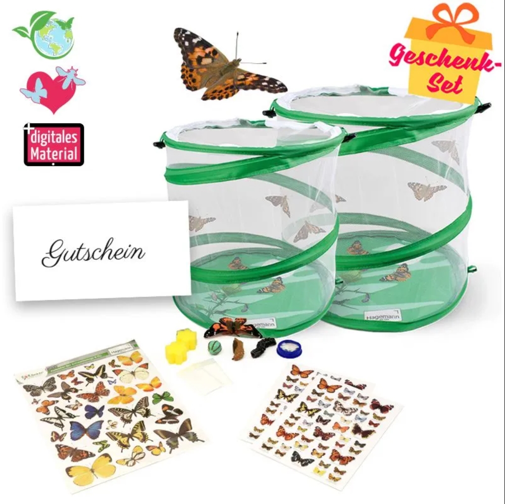 Zuchtset Schmetterlinge, Gutschein-Set, groß, 12 Teile