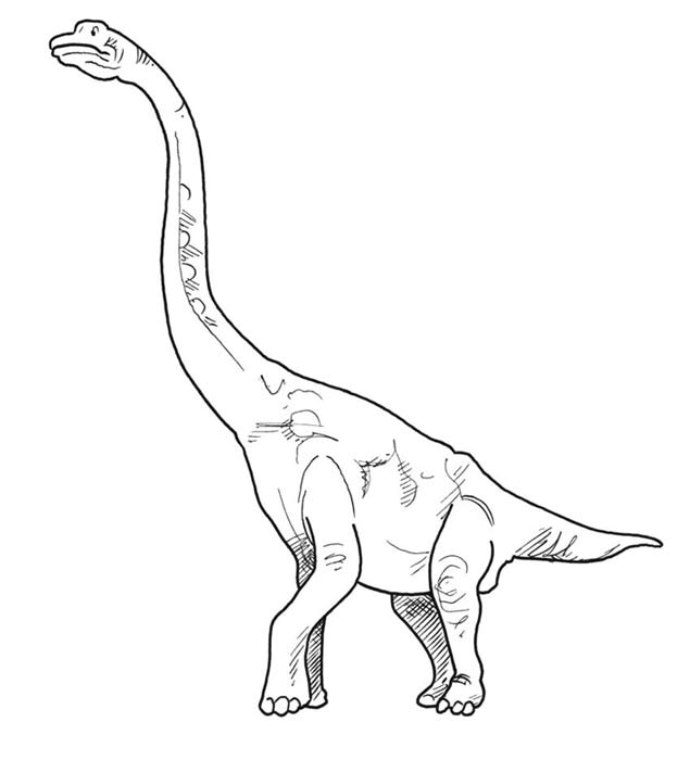 Dinosaurier - Werkstatt, 3./4. Klasse