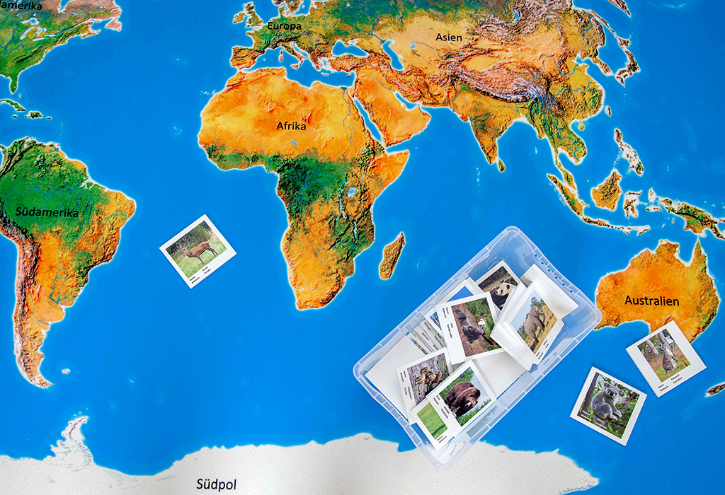 Spielteppich Landschaften der Erde mit 36 Tierkarten