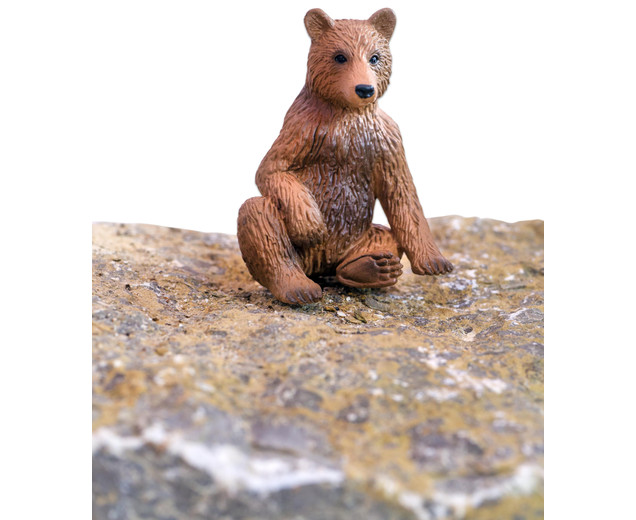 Tiere - Waldtiere, 10 Teile