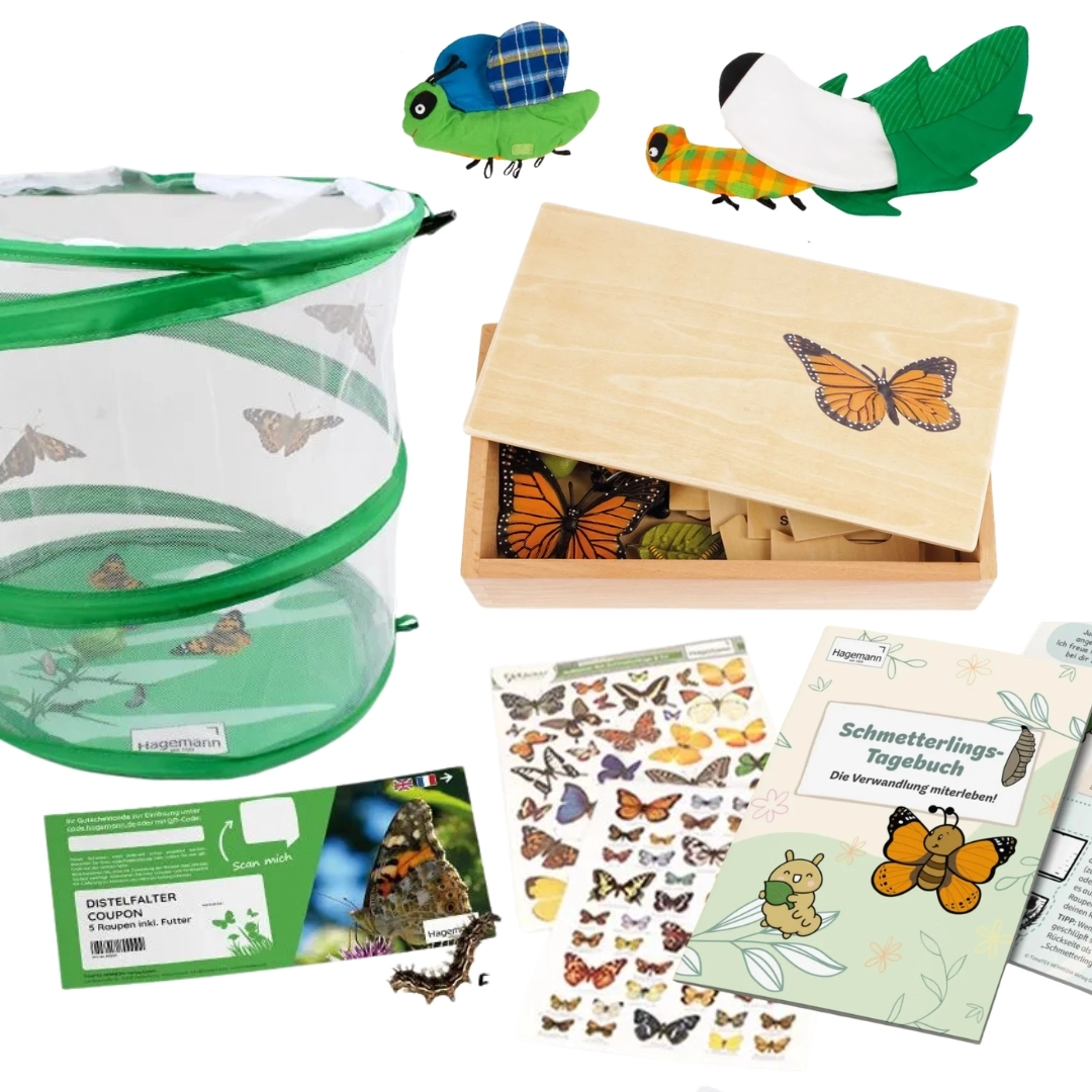 Schmetterlings-Projekt Komplett-Set: Zuchtset, Lebenszyklus-Holzbox, Stoffmodell & Tagebuch