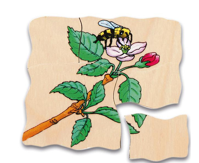 Lagenpuzzle Apfel, Holzpuzzle mit 5 Lagen, 4-7 Jahre