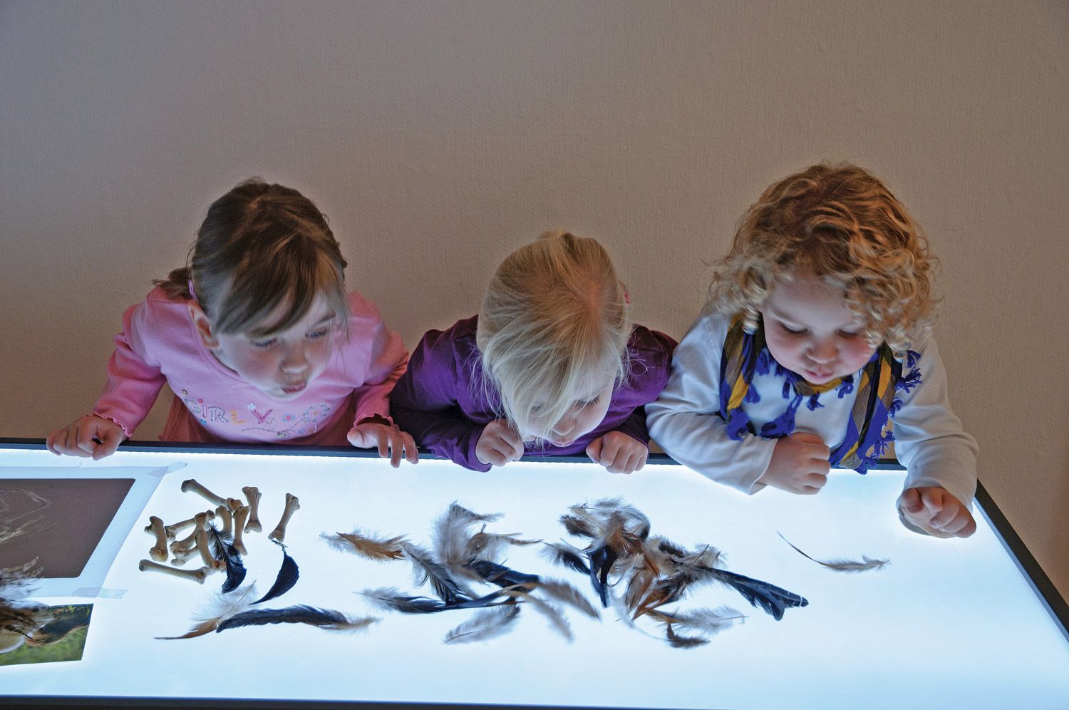 Großer Leuchttisch, 180 x 60 cm, höhenverstellbar 66,5 bis 83,5 cm