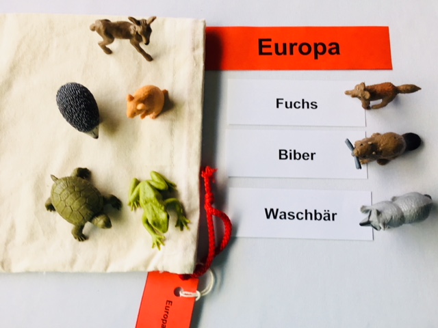 Tiere überall auf unserer Erde, Lernmaterial