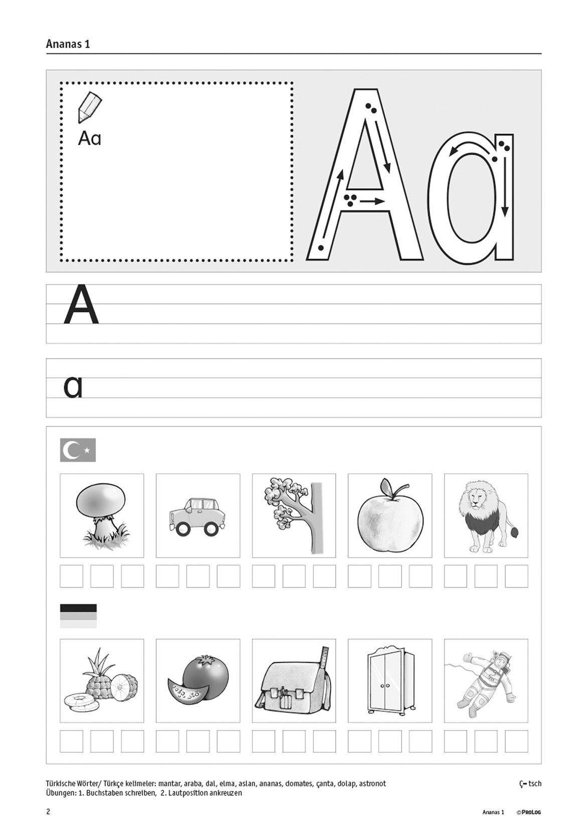 Ananas 1 Schülerarbeitsheft - 10er-Paket, Klasse 1