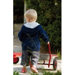 Winther® MINI VIKING Schubkarre 8600436