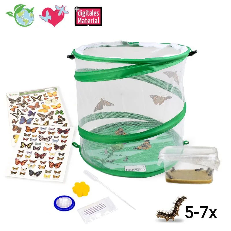 Schmetterlings-Projekt Komplett-Set: Zuchtset, Lebenszyklus-Holzbox, Stoffmodell & Tagebuch