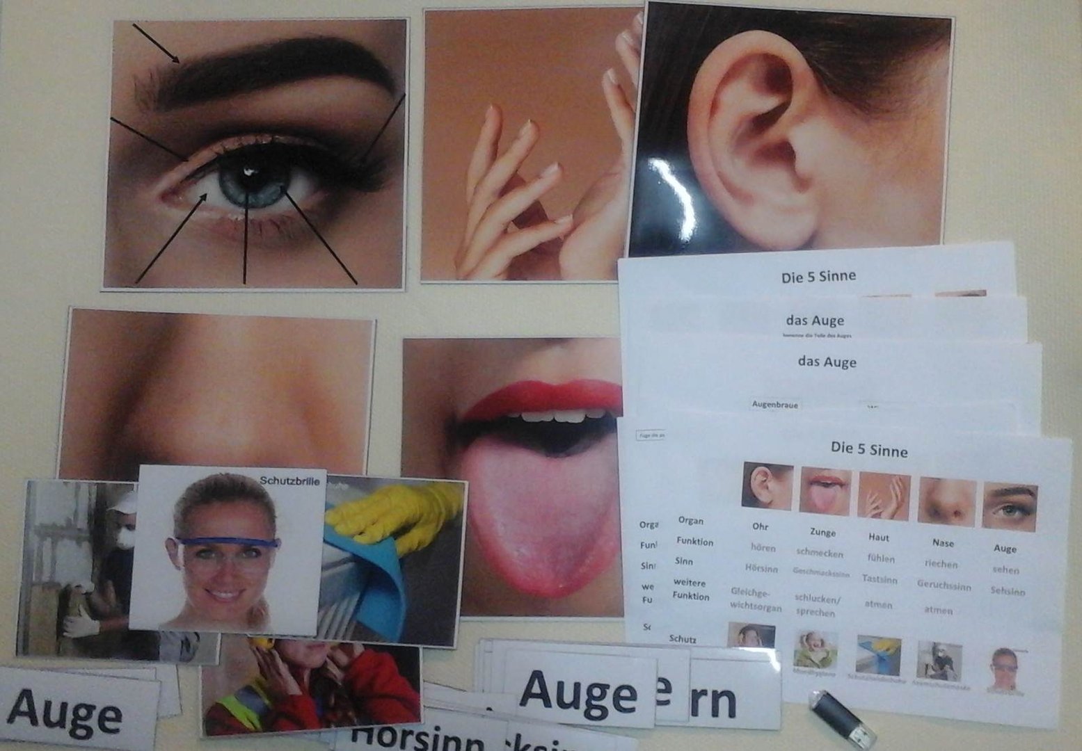 5 Sinne + Auge
