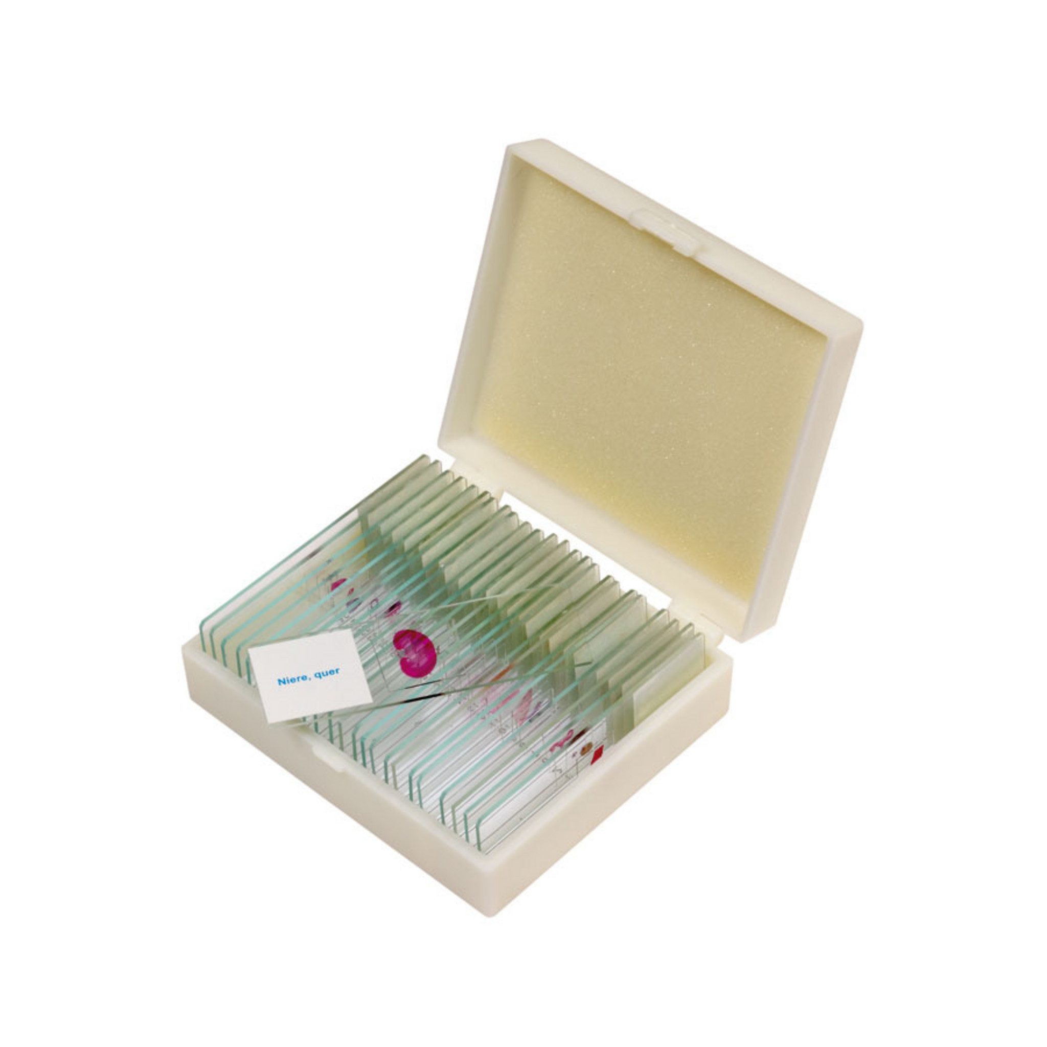 Präparate-Set in praktischer Sortierbox (Präparatbezeichnungen auf Englisch)