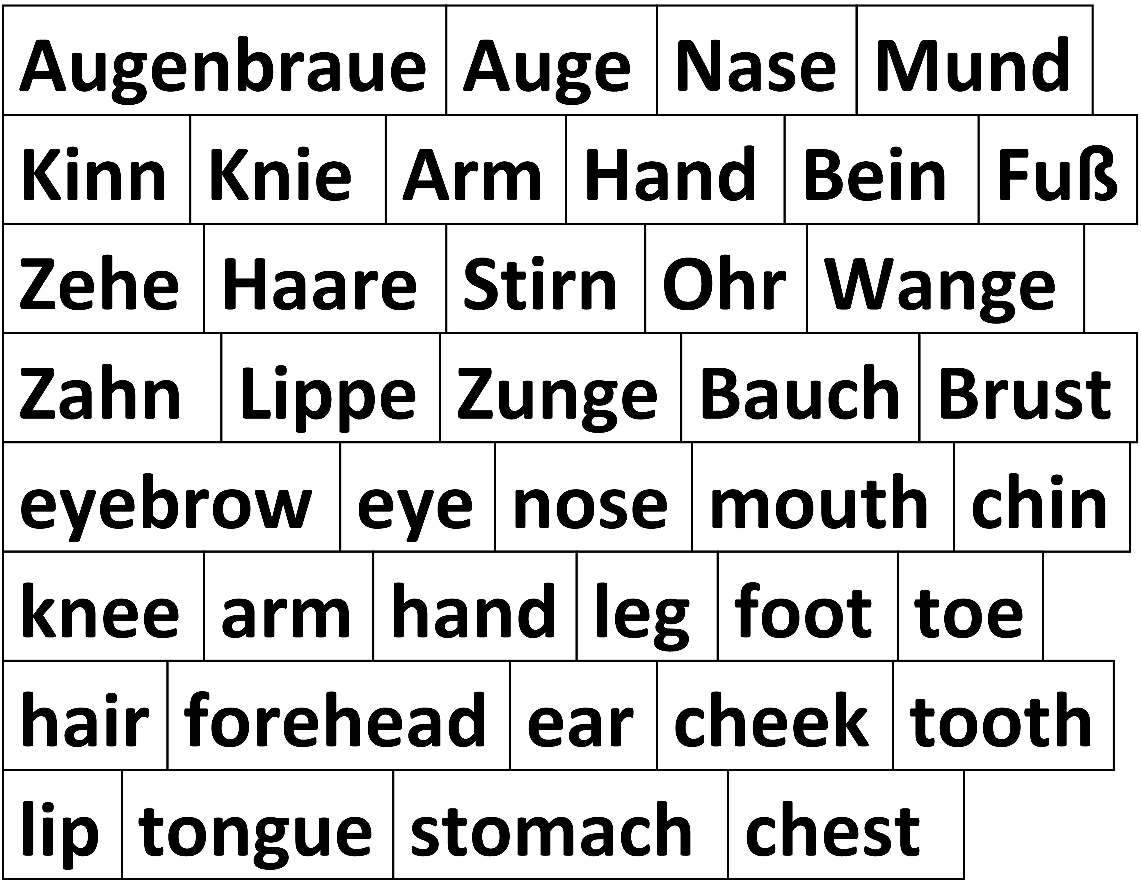 Magnetisches Tafel-Set Mein Körper / my body