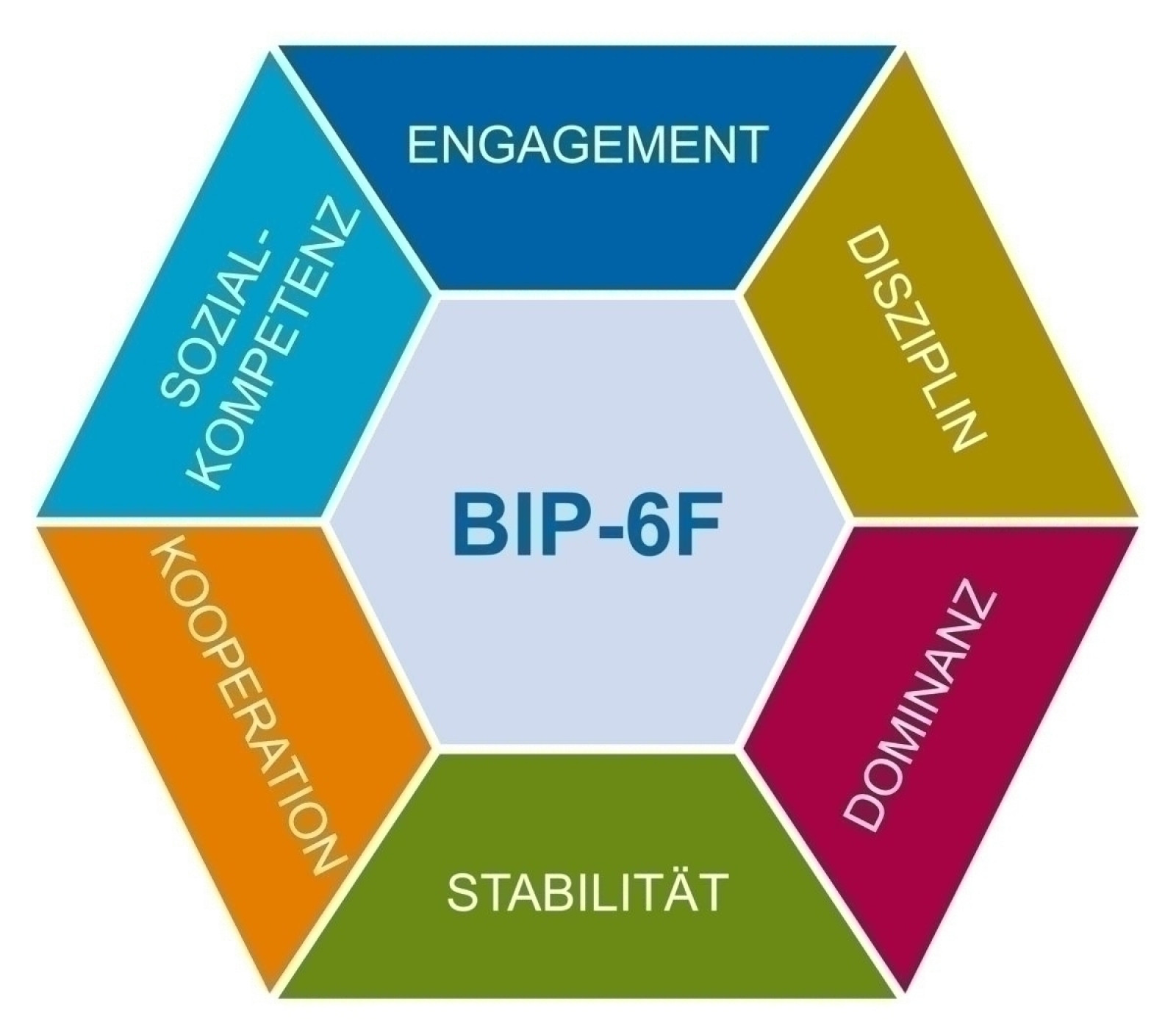 BIP®-6F Manual