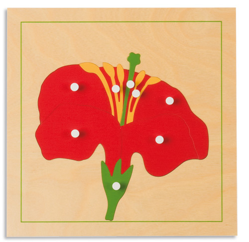Botanisches Puzzle: Blüte, ab 4 Jahre