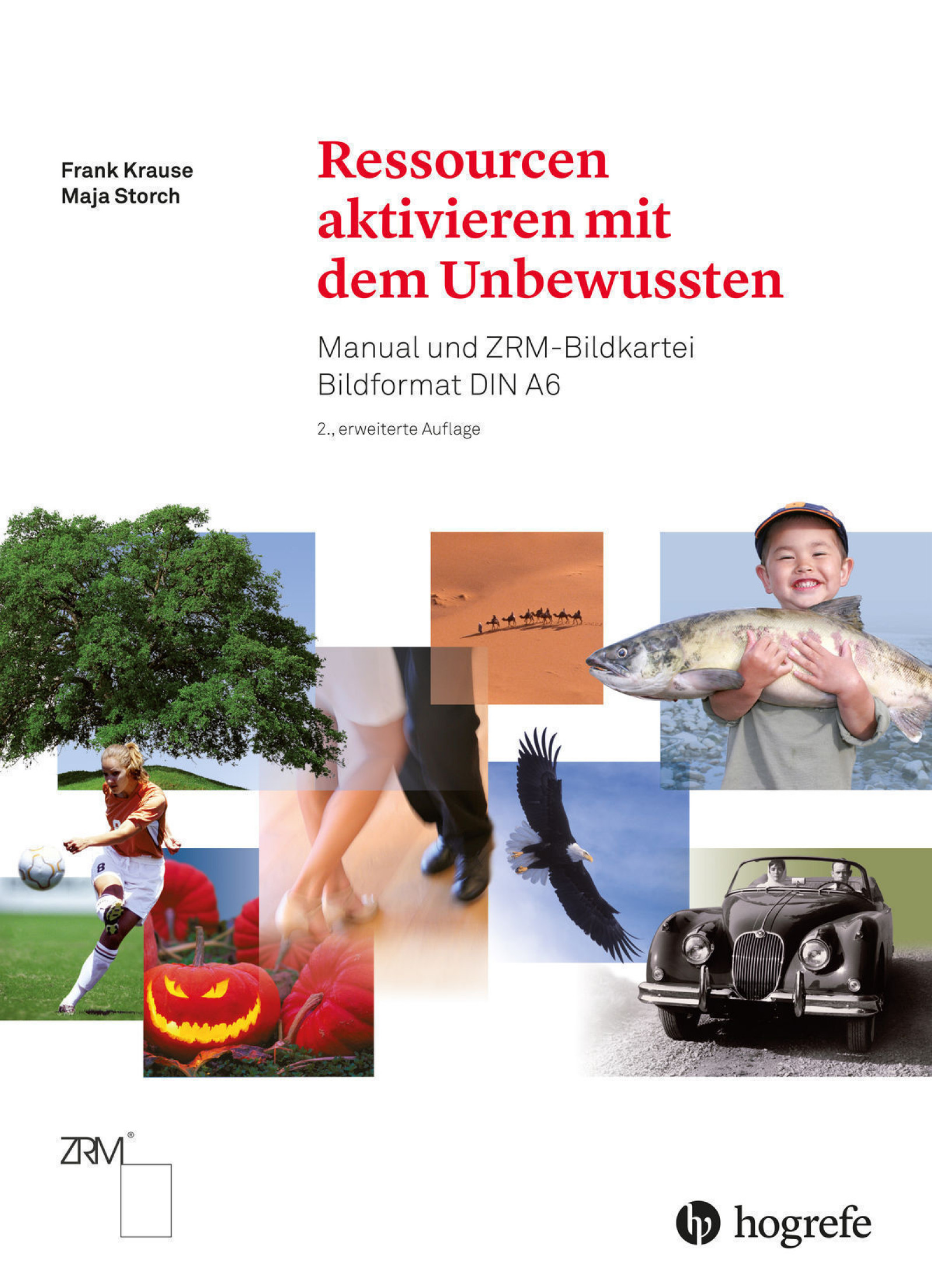 Ressourcen aktivieren mit dem Unbewussten, Manual und ZRM-Bildkartei Bildformat DIN A6