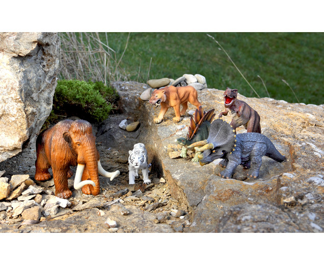Tierfiguren, 26 Tiere in Kunststoff-Box, ab 3 Jahre