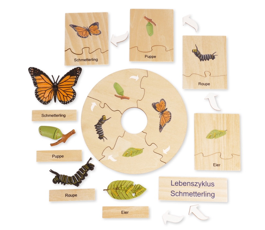 Schmetterlings-Projekt Komplett-Set: Zuchtset, Lebenszyklus-Holzbox, Stoffmodell & Tagebuch