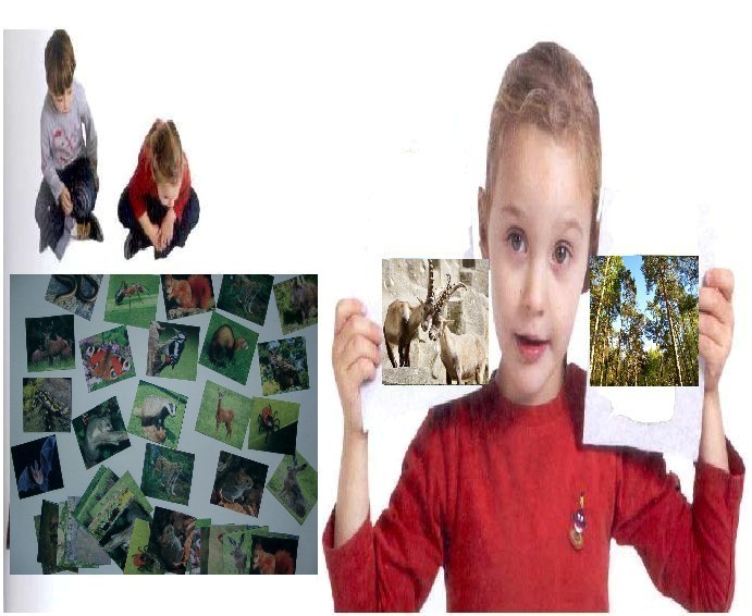 Double Game Lebensraum Alpen, Bodenspiel aus Teppichfliesen