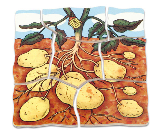 Lagenpuzzle Kartoffel, Holzpuzzle mit 5 Lagen, 4-5 Jahre