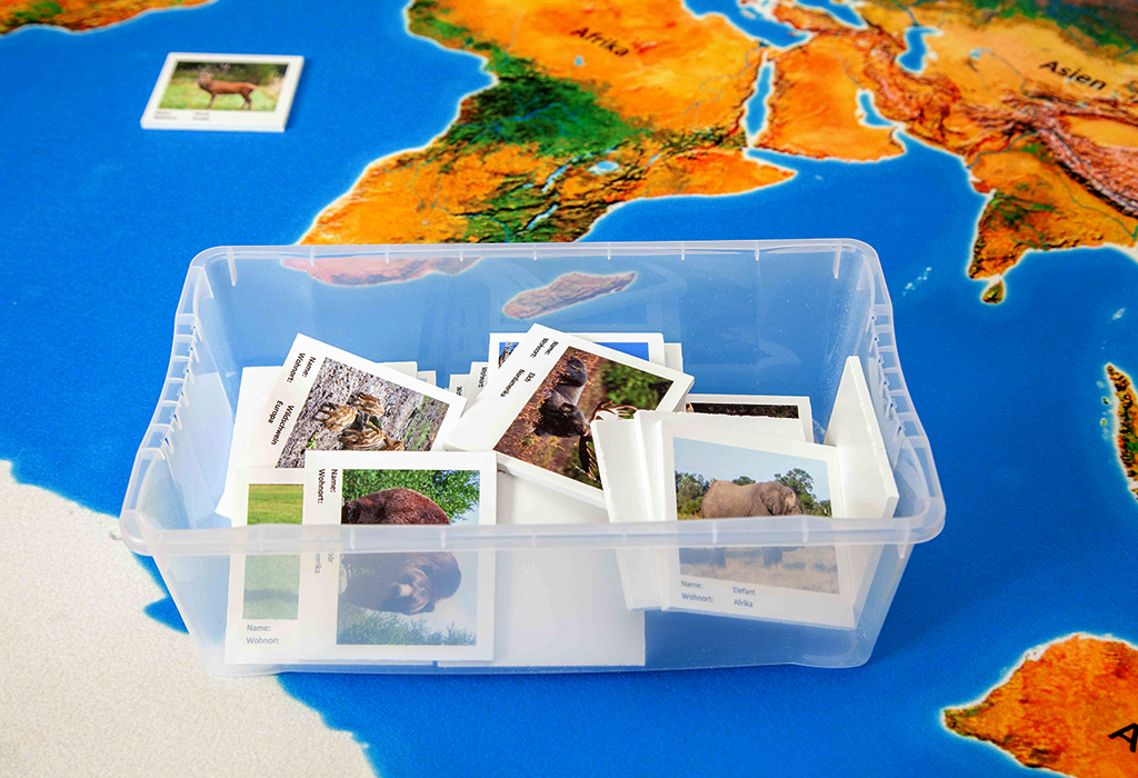 Spielteppich Landschaften der Erde mit 36 Tierkarten