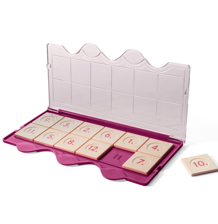 miniLÜK Kontrollgerät Klarsichtdeckel pink mit 12 Plättchen (neue Version)