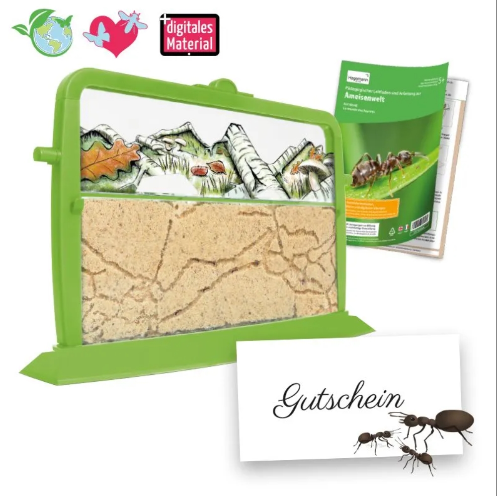 Zuchtset Ameisen, Gutschein-Set, 4 Teile