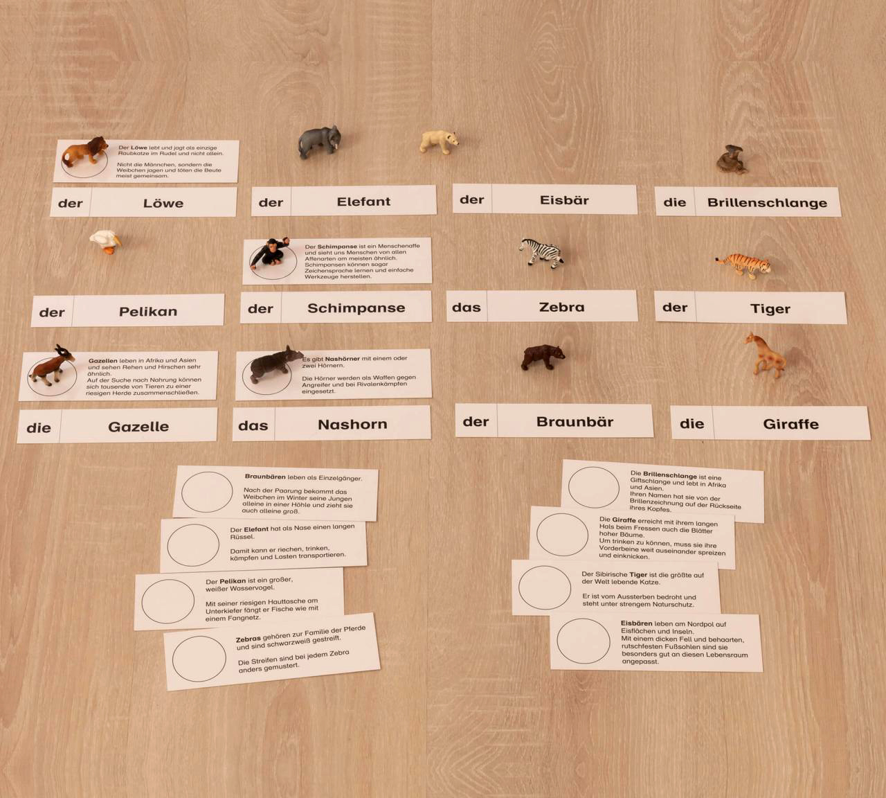 Tiere im Zoo, Lesematerial, ab 1. Klasse