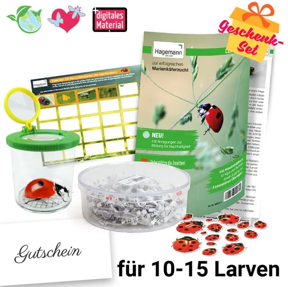 Zuchtset Marienkäfer, Gutschein-Set, kompakt, 5 Teile