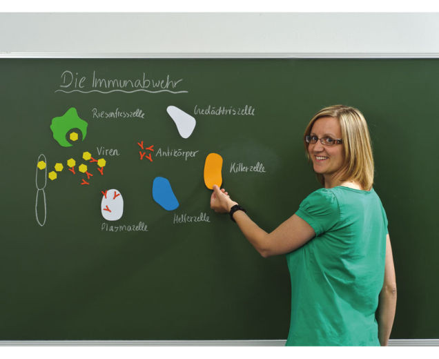 Magnetfolien Set (7 Stück) Format DIN A4