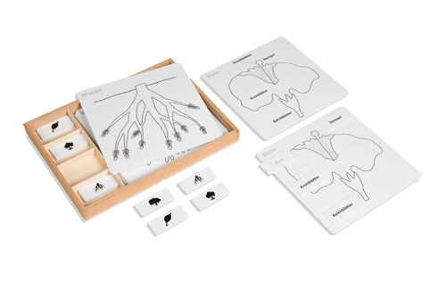Kontrollkarten für die Botanischen Puzzles, im Holzkasten mit Deckel