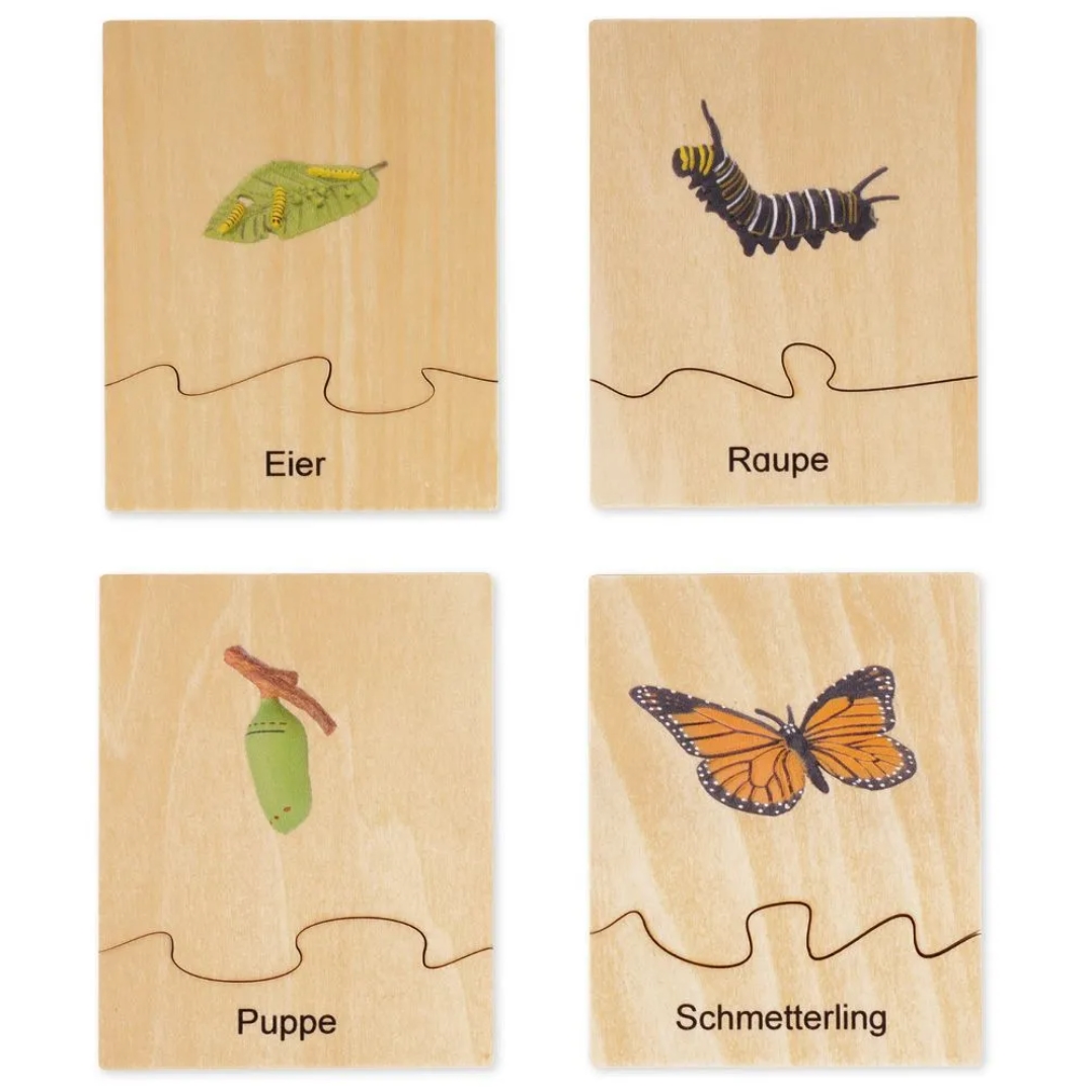 TimeTEX Lebenszyklus eines Schmetterlings, Lernspiel in Holzbox